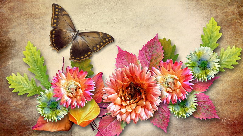 Asters and Brown Butterflies, fall, autumn, butterflies, asters, leaves, dahlias, flowers, garden, Firefox Persona theme, HD wallpaper