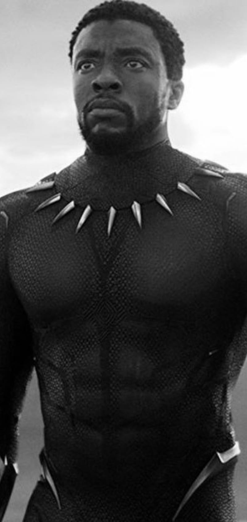 RIP Black Panther, marvel, movies, superhero, HD phone wallpaper