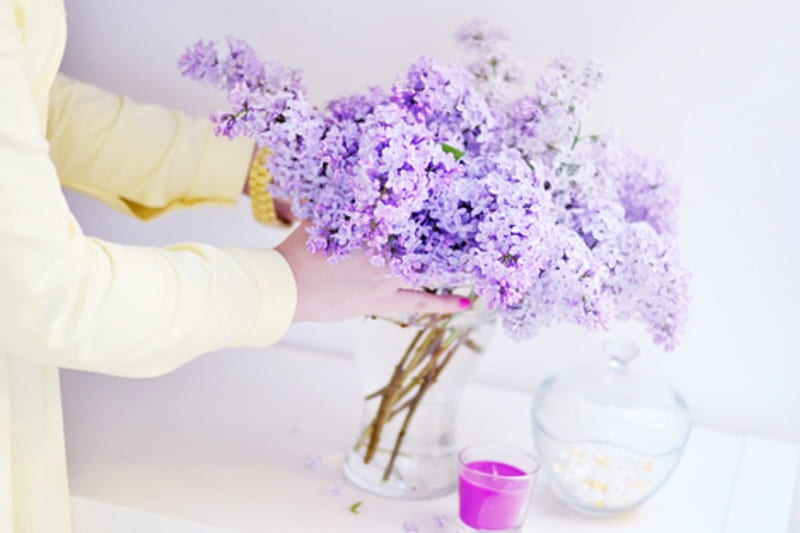✿ Liliac ✿, purple, liliac, flowers, hand, bonito, HD wallpaper