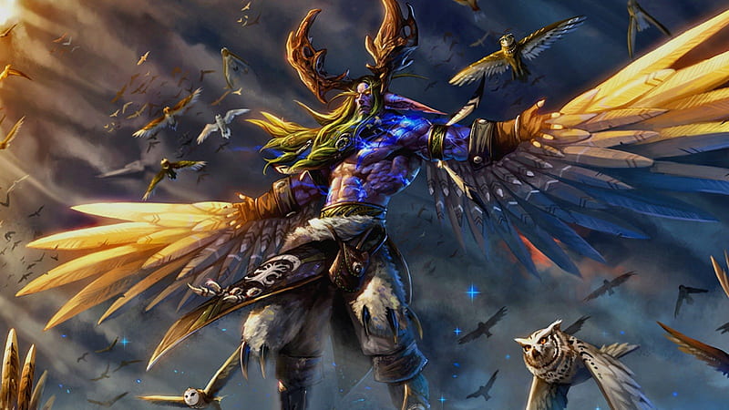 Lord of the Air, owl, warrior, fantasy, bird, HD wallpaper