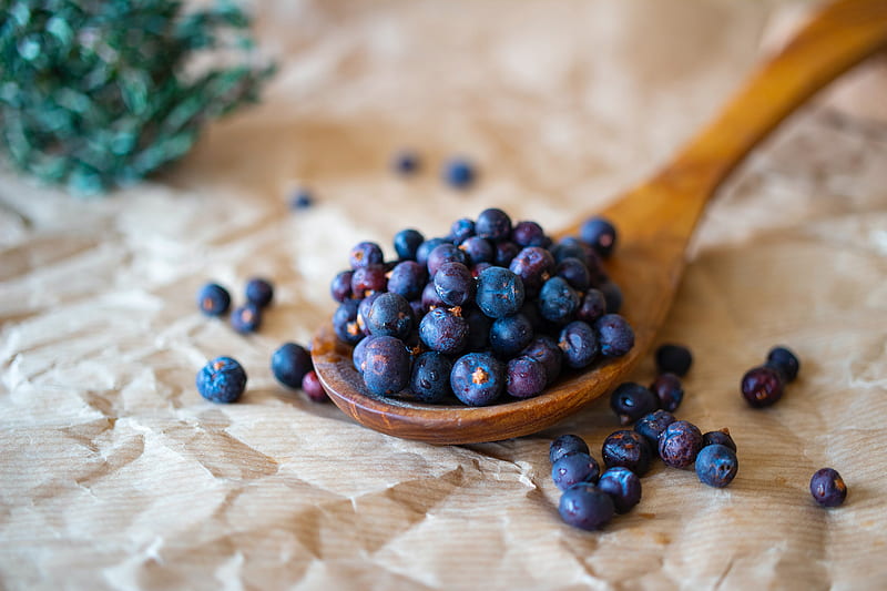 blueberries, berries, fruits, spoon, paper, HD wallpaper