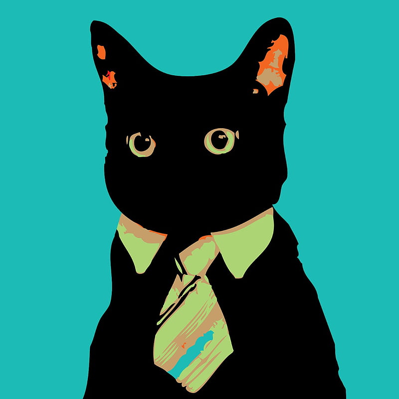 Business Cat, cute, kitty, love, HD phone wallpaper