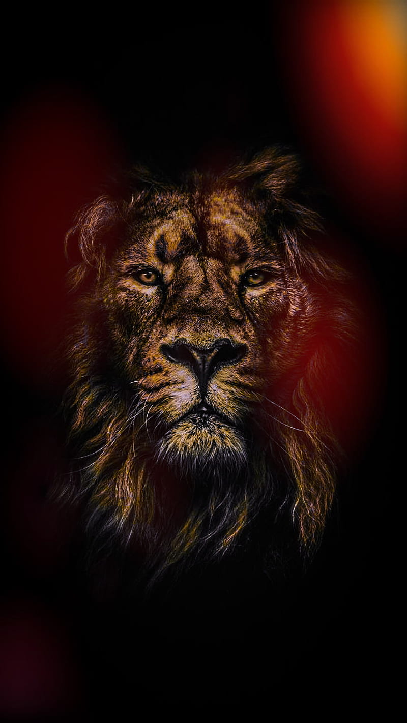 León, leones, fuerte, Fondo de pantalla de teléfono HD | Peakpx