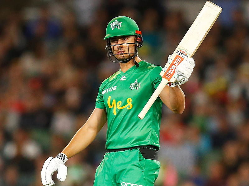 Marcus Stoinis fined $7,500 for homophobic slur during Big Bash League. Cricket, HD wallpaper