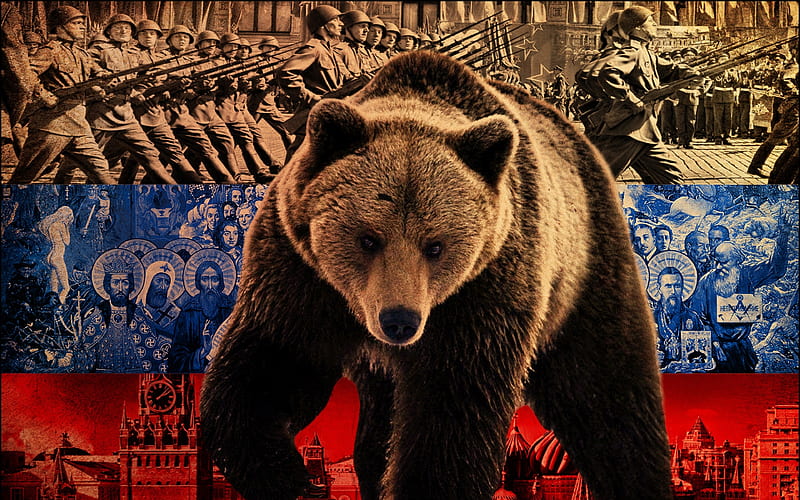 bear, bears, black, grizzly, russian, HD wallpaper