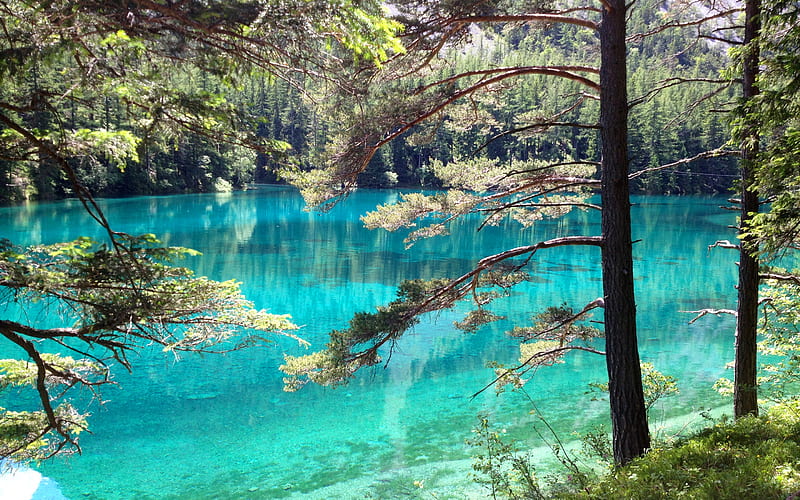 Green Lake, Gruner-Zee Lake, forest, Styria, Gruner See, summer, Austria, Europe, HD wallpaper