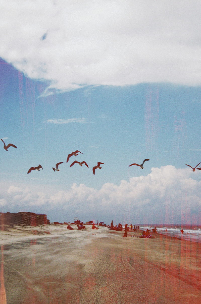 beach, cloud, old, people, seagull, sky, summer, sunshine, vintage, HD phone wallpaper