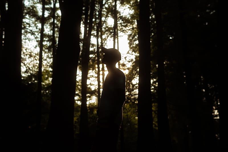 silhouette of man standing in the middle of the forest during daytime, HD wallpaper