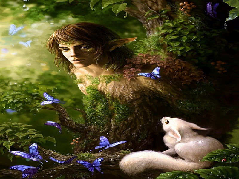 ELF IN THE WOODS, forest, elf, elves, fantasy, fairies, magical, fantasy men, backgrounds, fairy, HD wallpaper