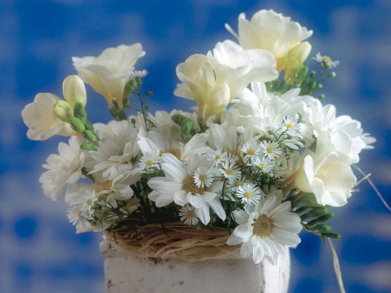 The Beauty of an All White Bouquet, bouquet, rose, flowers, arrangement ...