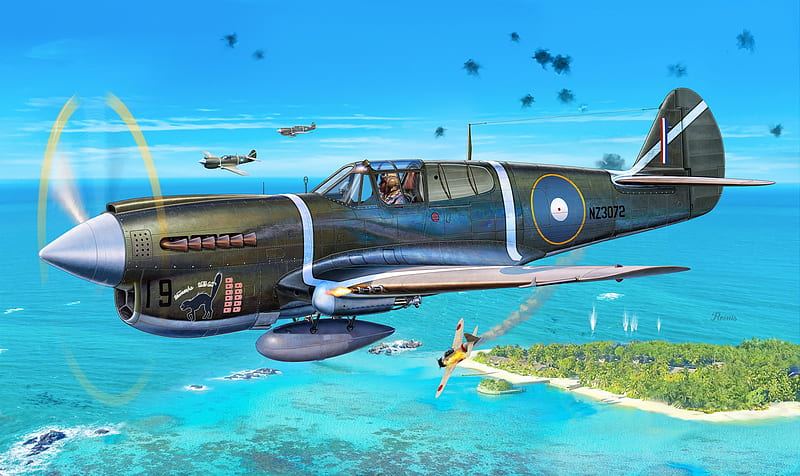 Military Aircraft, Curtiss P-40 Warhawk, Aircraft, Warplane, HD wallpaper