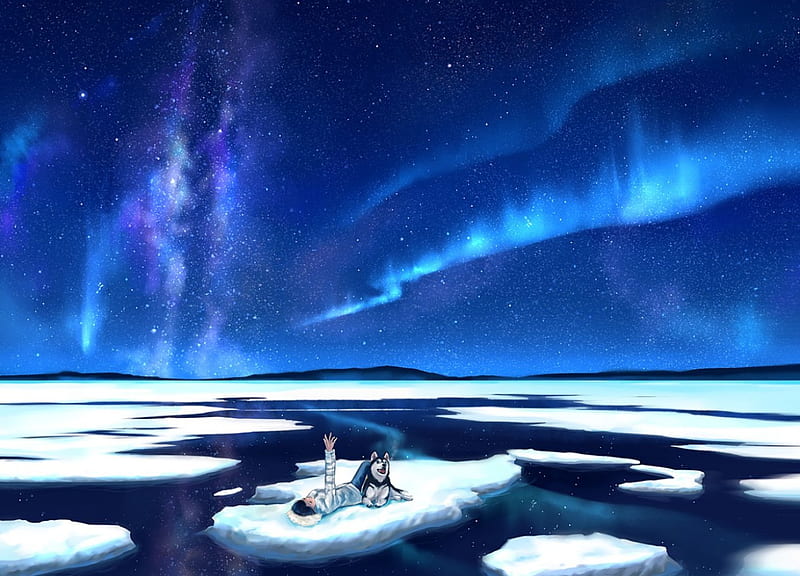 Gazing At The Northern Lights, stars, bonito, sky, lights, water, girl, anime, ice, northern, dog, HD wallpaper