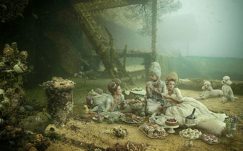 Victorian picninc, cake, underwater, fish, victorian, food, picninc, creative, poodle, woman, situation, fantasy, girl, green, funny, dog, HD wallpaper