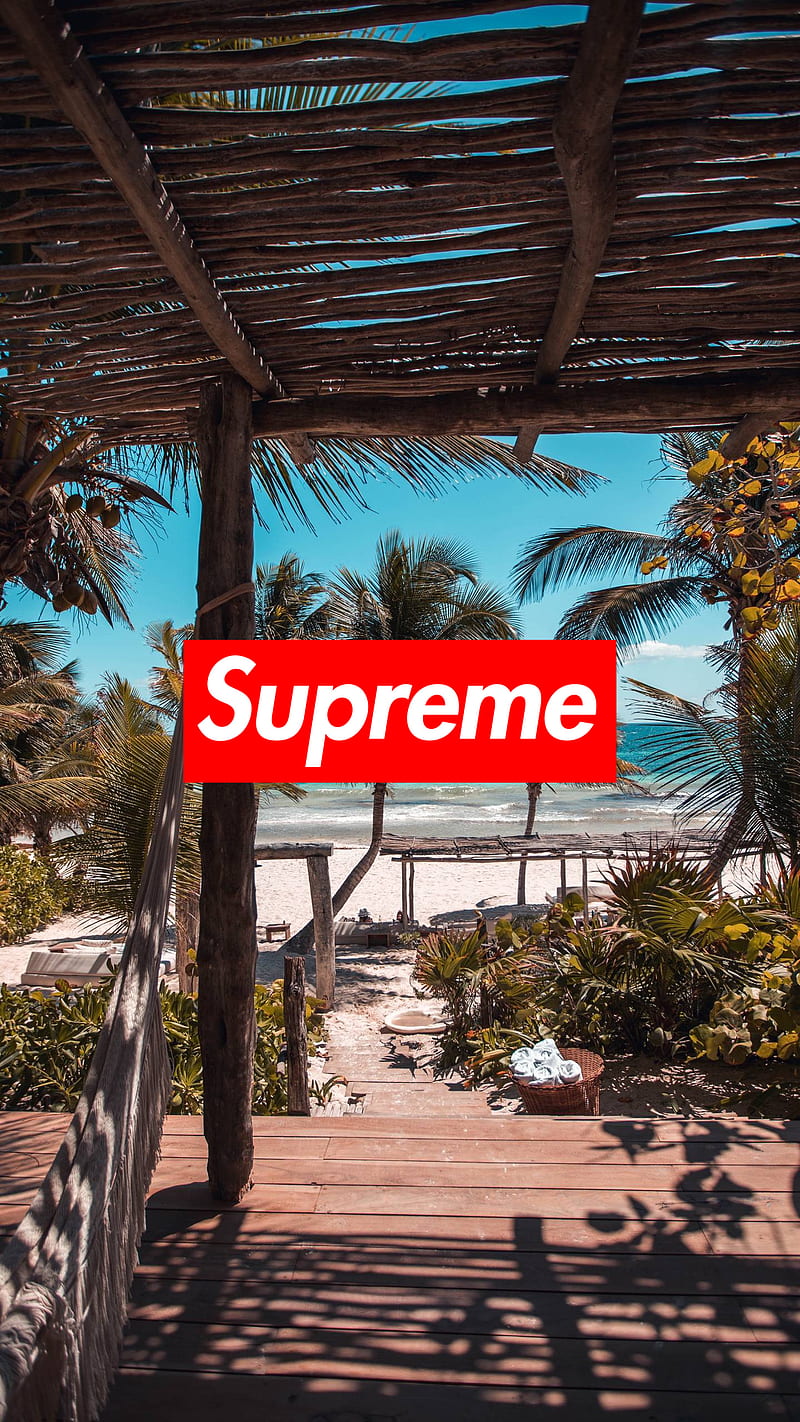 Supreme Beach, brand, light, logo, sunny, HD phone wallpaper