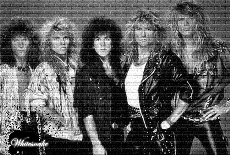 Whitesnake, heavy metal, rock, music, entertainment, black, wall, snake, HD wallpaper