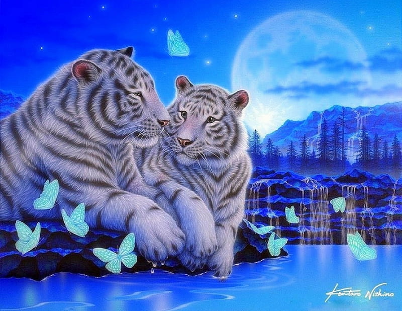Chat - White Tigers, moons, white tigers, love four seasons, butterflies, spring, attractions in dreams, waterfalls, big wild cats, painting, nature, butterfly designs, animals, blue, HD wallpaper