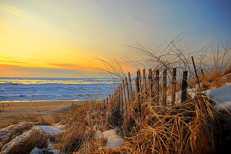 Frozen sunset, reed, sun, cane, yellow, sunset, clouds, beach, sand ...