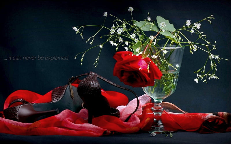 FOR the LADIES', handkerchief, flowers, vase, roses, shoes, HD wallpaper