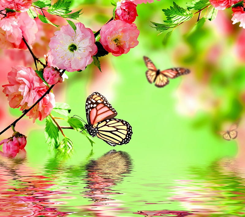 Spring, soft colors, revival nature, flowers, butterflies, reflection, HD wallpaper