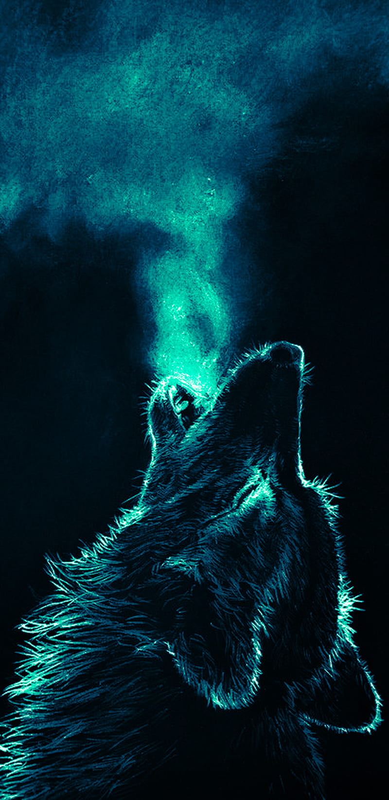 Wolf, black, moon, dark, HD phone wallpaper