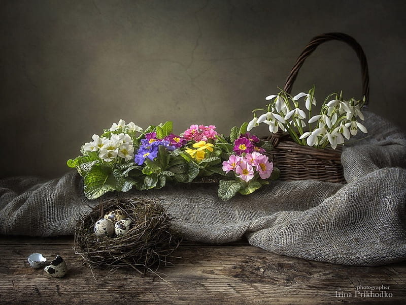 Spring Mood, still life, table, basket, plant, cloth, beauty, flowers, birds nest, HD wallpaper