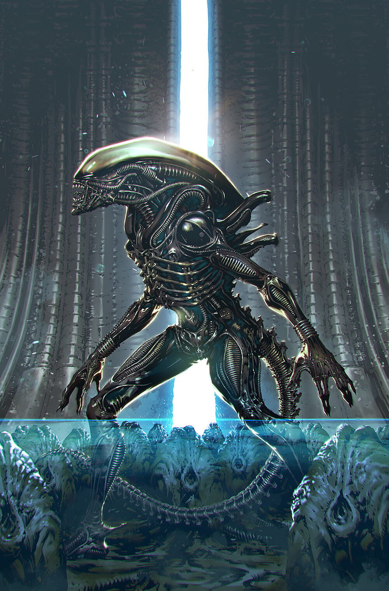 Xenomorph, aliens, creature, horror, HD phone wallpaper