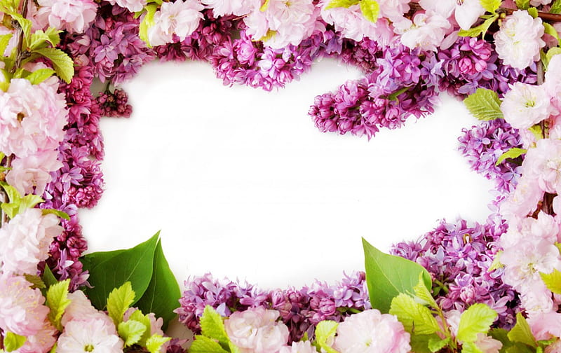 Spring flowers frame, lilac, spring, valentine, mother, card, blossom, green, purple, day, white, pink, HD wallpaper