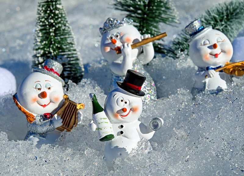 Happy New Year!, craciun, bottle, concert, new year, funny, snowman, iarna, winter, christmas, HD wallpaper