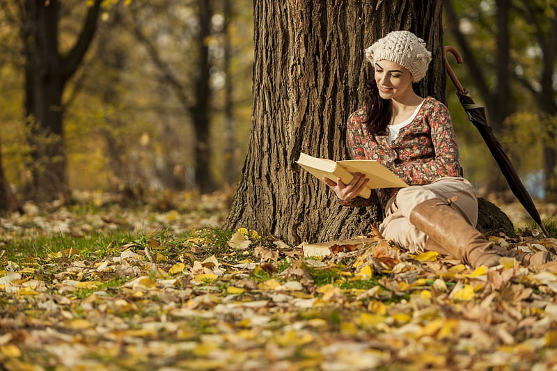ლ, Woman, Forest, Autumn, Reading, HD wallpaper