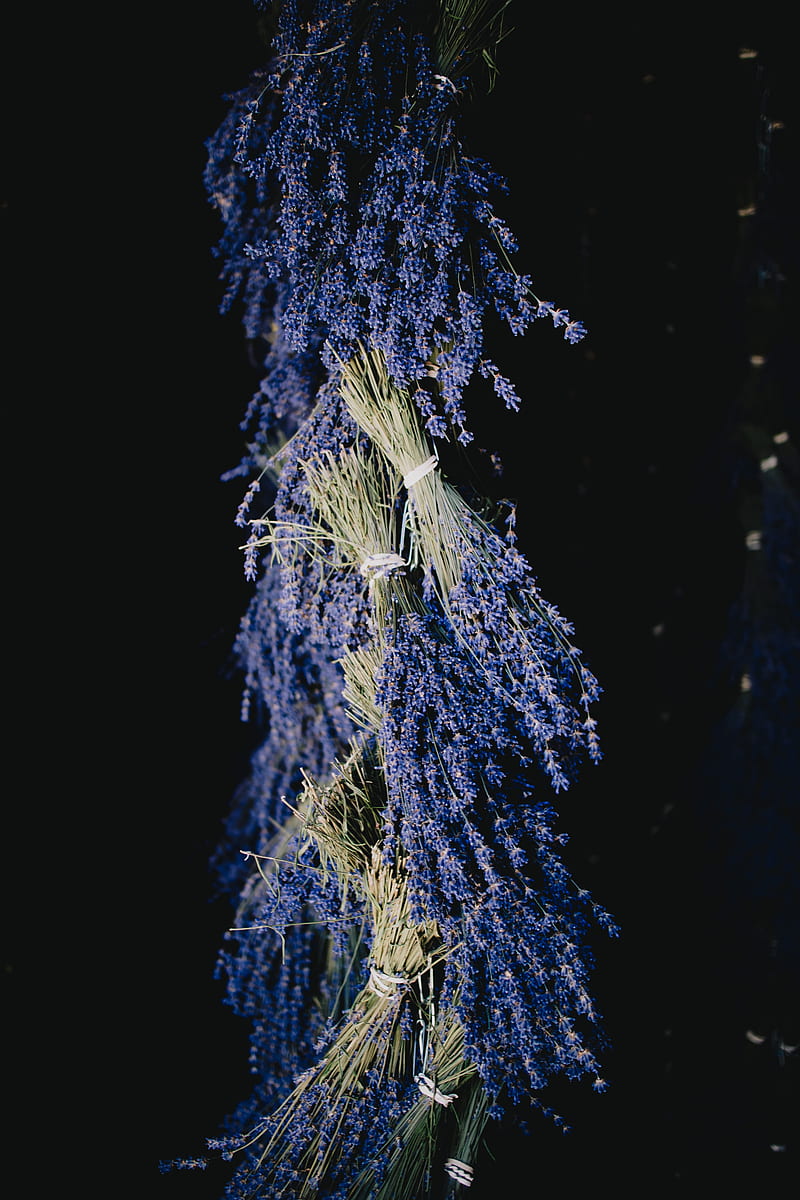 lavender, bouquet, flowers, dark, HD phone wallpaper