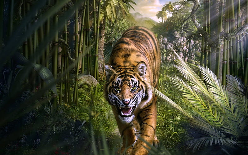 Jungle Tiger Drawing, Tiger, Art, Jungle, Animals, HD wallpaper | Peakpx