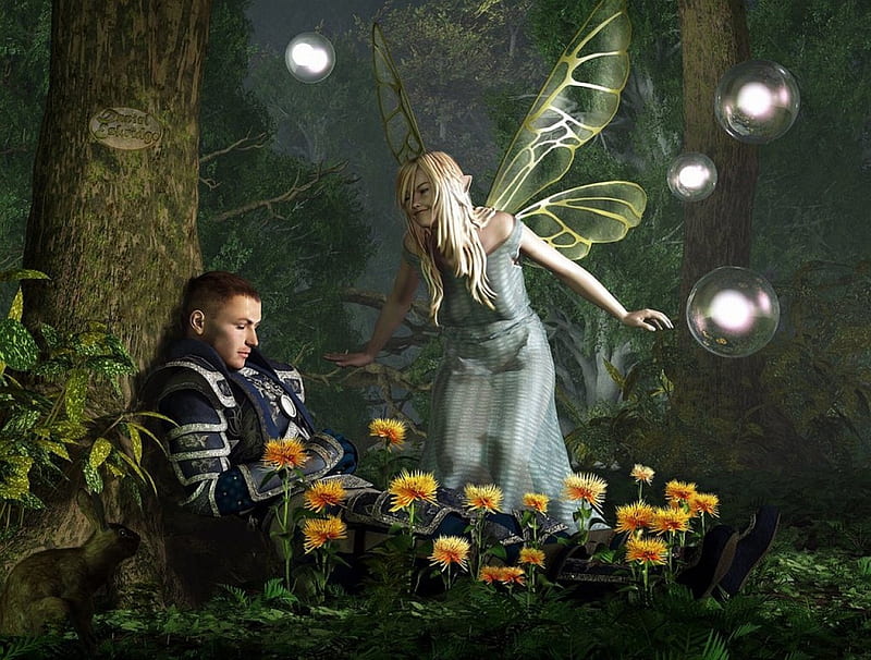 Fairy Abd Soldier, fantasy, bubbles, flowers, sold, fairy, HD wallpaper