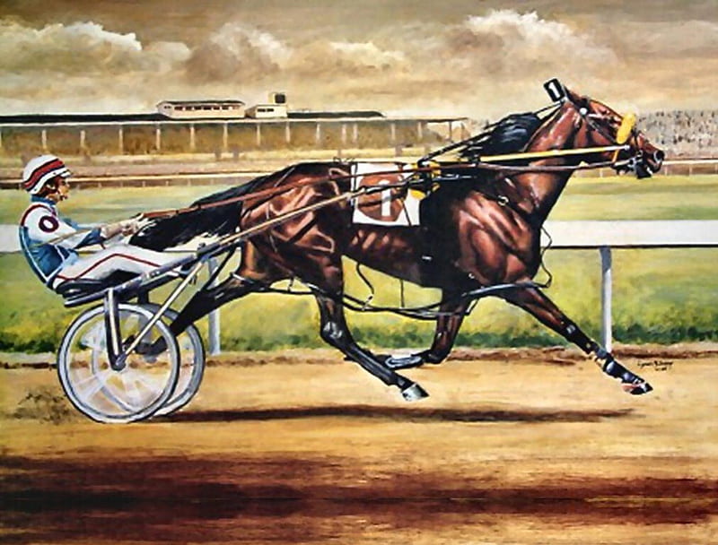 Pacing Standardbred - Horse 2, art, equine, pacer, horse, artwork, animal, standardbred, sulky, painting, race track, HD wallpaper