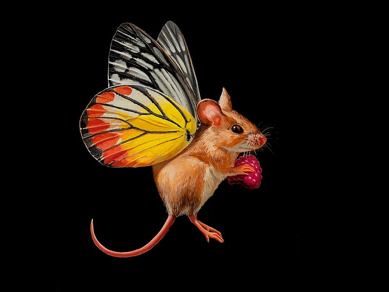 Fairy mouse, colorful, red, lisa ericson, frumusete, wings, luminos, black, yellow, fruit, fantasy, berry, butterfly, mouse, soricel, fairy, HD wallpaper