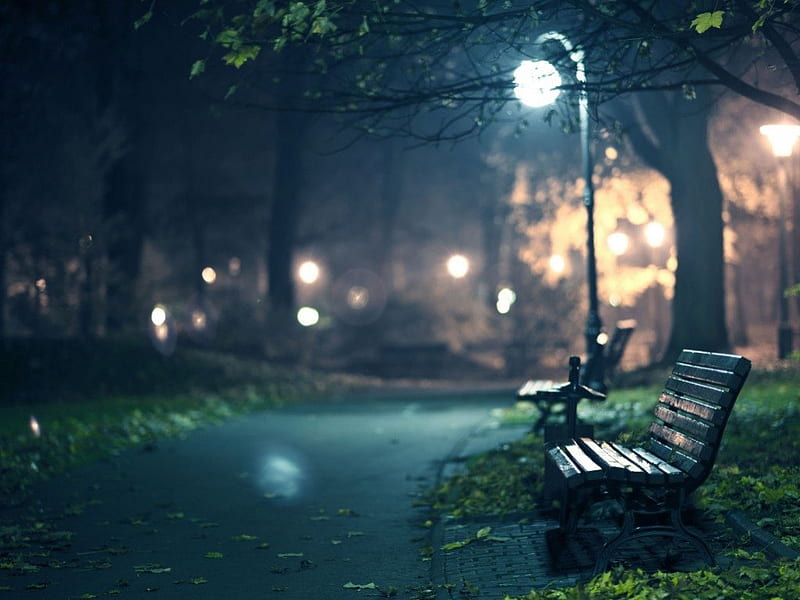 Romantic evening, seat, bench, foliage, lights, track, leaves, parks, night city, night, HD wallpaper