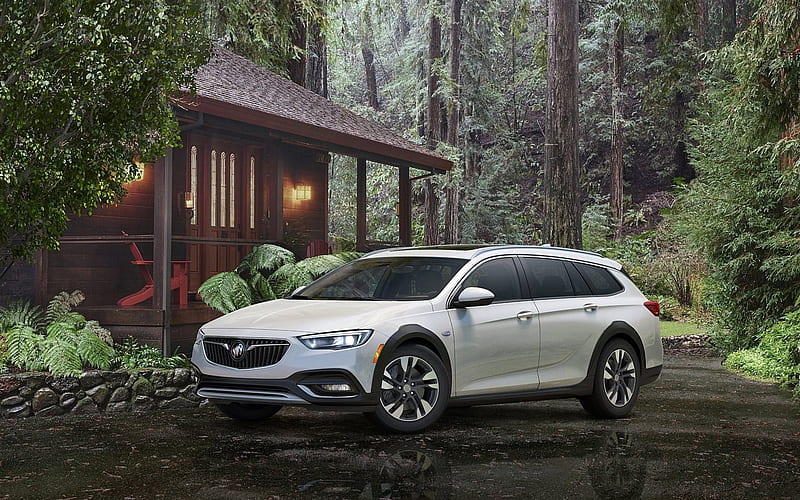 Buick Regal TourX, 2018 cars, forest, wagons, Buick, HD wallpaper