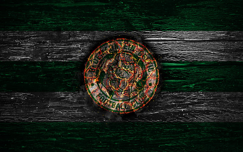 Bloemfontein Celtic FC, fire logo, Premier Soccer League, green and white lines, South African football club, grunge, football, soccer, Bloemfontein Celtic logo, wooden texture, South Africa, HD wallpaper