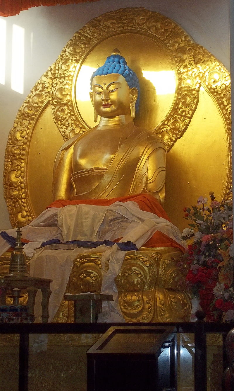 Lord Buddha, budha, HD phone wallpaper