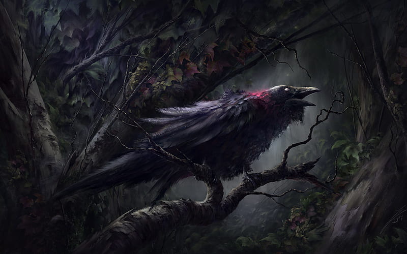 Raven, forest, darkness, artwork, black bird, HD wallpaper
