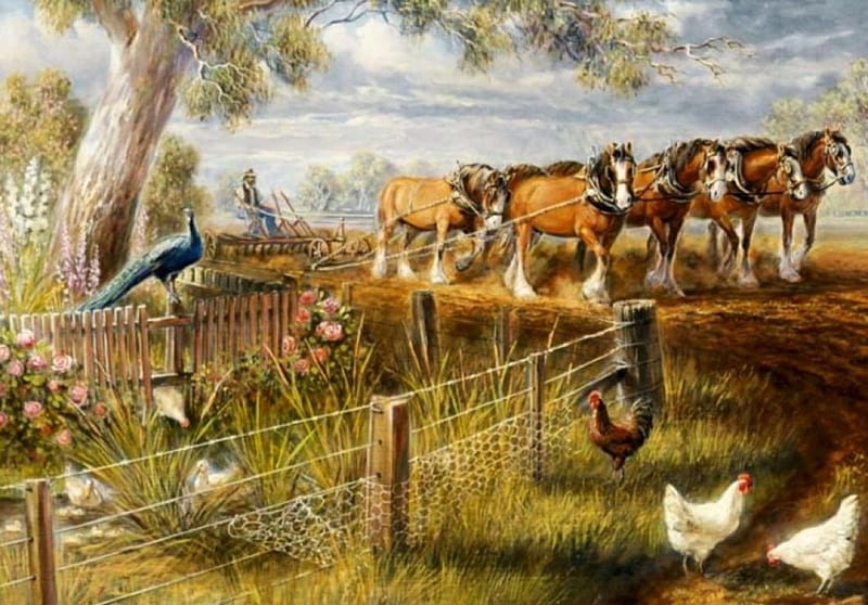 Breaking Ground, plow, hens, painting, peacock, man, artwork, horses, HD wallpaper