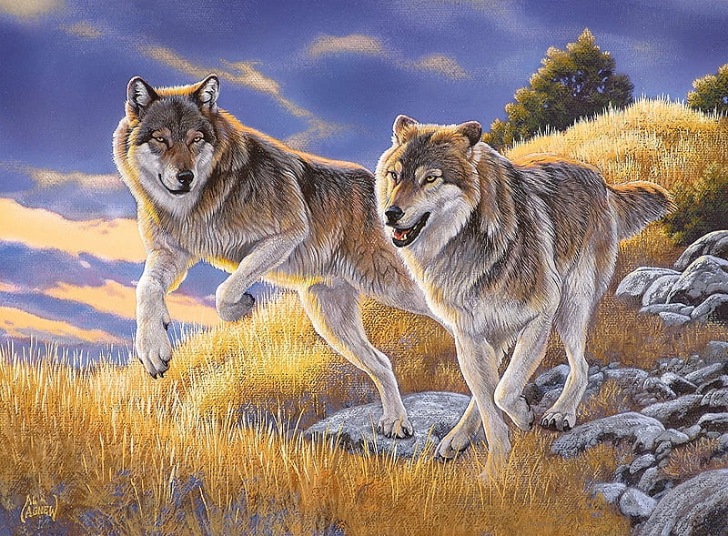 Wolves, painting, nature, predators, artwork, HD wallpaper