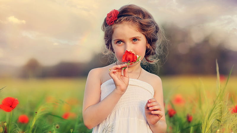 Cute Little Girl Is Having Red Flower Near Mouth Wearing White Dress In Red Poppy Flowers Field Background Cute, HD wallpaper
