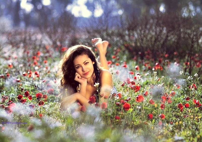 ~ Indulge In Wonderment ~, Flowerbed, Poppies, Girl, Female, Relaxing, sunshine, Flowers, Brunnette, Field, HD wallpaper