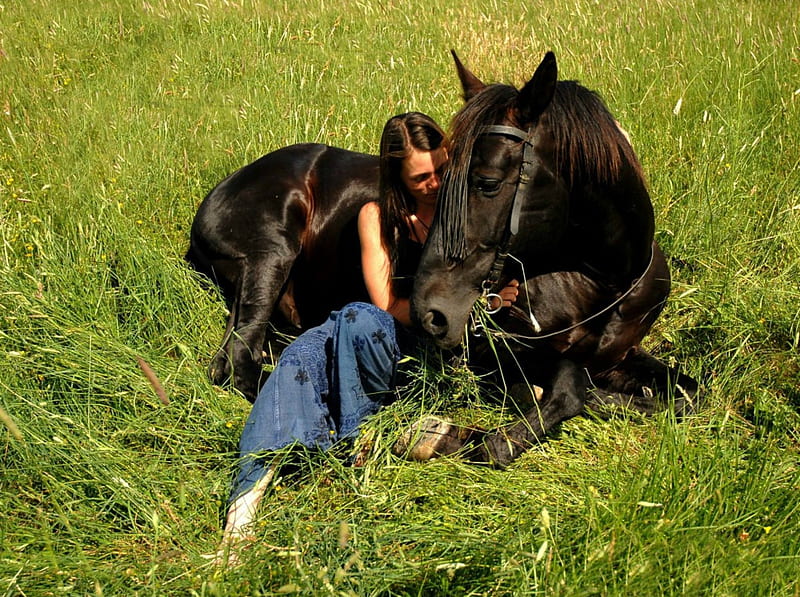 Лежа на коне. Лошадь лежит. Лошадь валяется. Девушка рядом с лежащей лошадью.