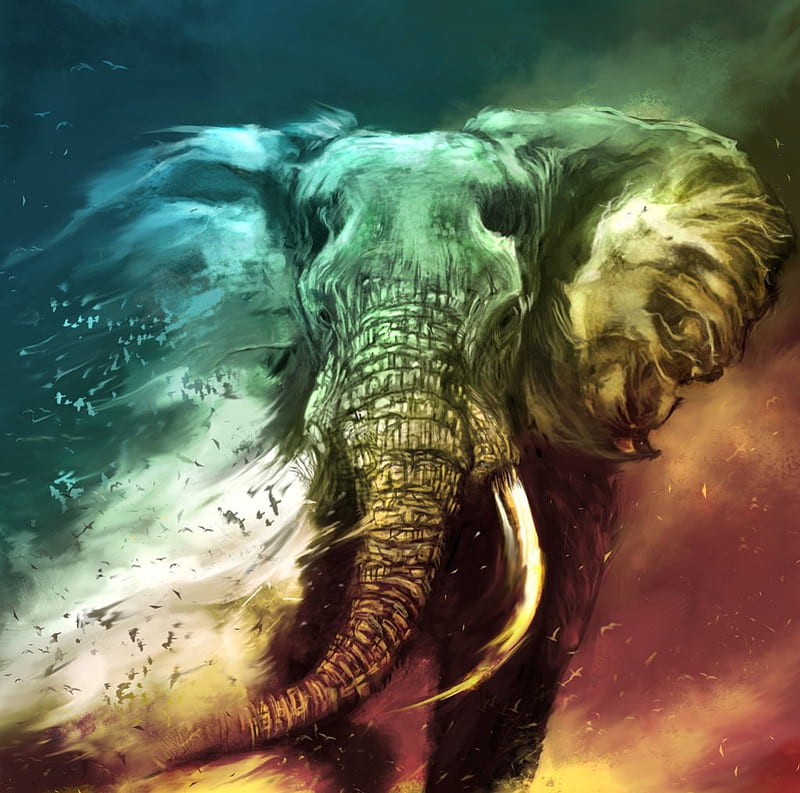 A fading elephant., Fade, Away, Art, Elephant, HD wallpaper | Peakpx