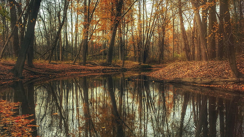Beautiful Autumn Trees Scenery Nature Reflection On Lake Autumn, HD ...