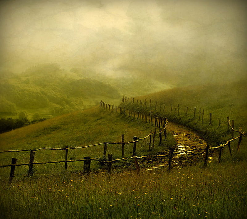 The Path, country, fence, fog, green, hills, meadow, path, road, rural, HD wallpaper