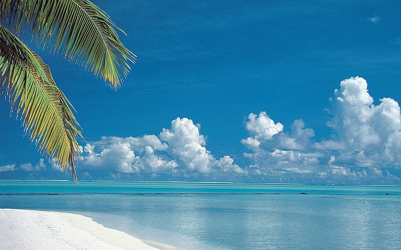 Cook Islands-Tropical Beach, HD wallpaper