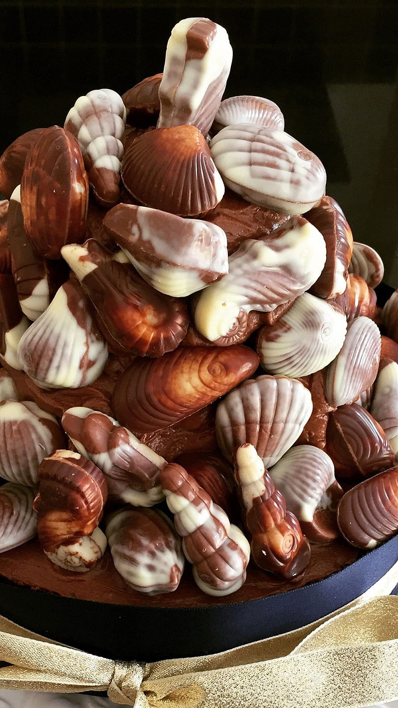 Praline Sea Shells, guylian, sea shells, belgian, chocolates, hazel nut, chocolate, HD phone wallpaper