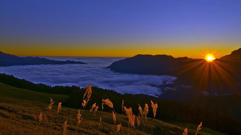 THE DAY ENDS, mountain, sunset, plants, fog, HD wallpaper | Peakpx